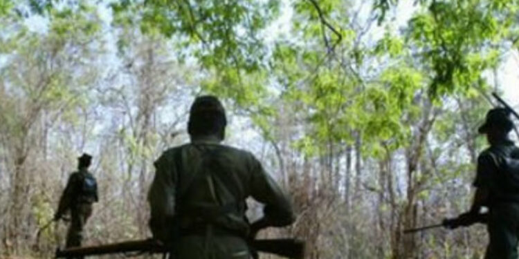 கட்சிரோலி என்கவுன்டரில் இரண்டு பெண் மாவோயிஸ்டுகள் சுட்டுக் கொல்லப்பட்டனர்