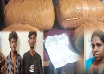 ஒரிசாவில் இருந்து கஞ்சா கடத்தி வந்த நபர்களை திருவாரூரில் போலீசார் அதிரடியாக கைது