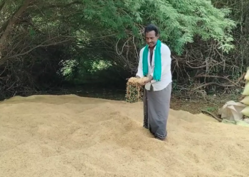 திறந்தவெளியில் இயங்கும் திருப்புங்கூர் நேரடி நெல் கொள்முதல் நிலையத்தில் கொள்முதல் பணி தாமதம் மழையில் நனைந்து சேதம்