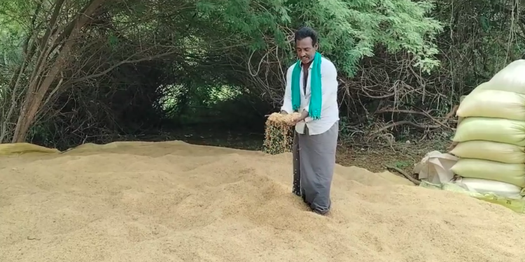 திறந்தவெளியில் இயங்கும் திருப்புங்கூர் நேரடி நெல் கொள்முதல் நிலையத்தில் கொள்முதல் பணி தாமதம் மழையில் நனைந்து சேதம்