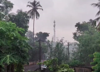 மயிலாடுதுறை மாவட்டத்தில் இடி, மின்னலுடன் கூடிய பலத்த மழை விவசாயிகள் கலக்கம்