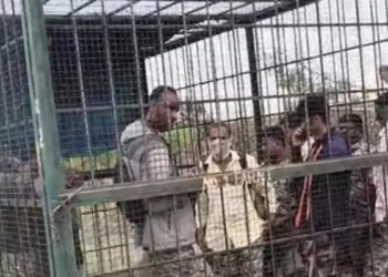 கிராமத்தில் சுற்றிய புலி ; வனத்துறை அதிகாரிகள் மீது கிராம மக்கள் பரபரப்பு !