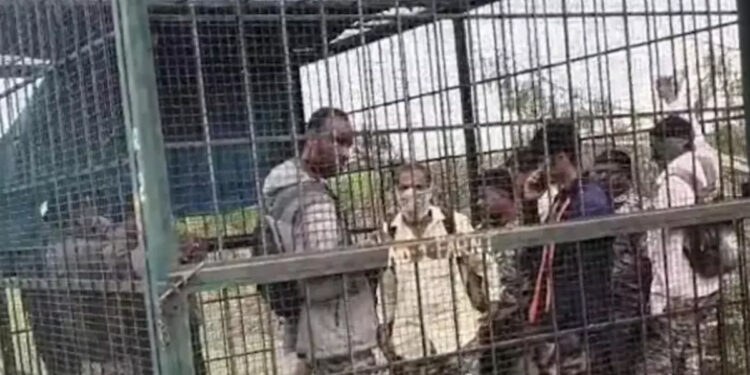 கிராமத்தில் சுற்றிய புலி ; வனத்துறை அதிகாரிகள் மீது கிராம மக்கள் பரபரப்பு !