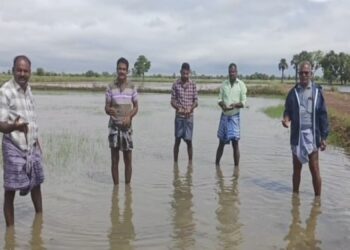 பெய்தாலும் காய்ந்தாலும் நாங்கதான் பாதிக்கப்படறோம் – குமுறும் விவசாயிகள்