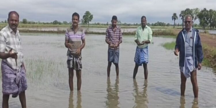 பெய்தாலும் காய்ந்தாலும் நாங்கதான் பாதிக்கப்படறோம் – குமுறும் விவசாயிகள்