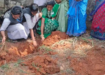 தமிழ்நாடு பனைமரம் காக்கும் இயக்கம் சார்பில் நாகர்கோவில் அரசு கலை அறிவியல் கல்லூரி வளாகத்தில் பனை நடும் விழா