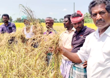 பயிர் காப்பீடு என்கிற பெயரில் தனியார் நிறுவனம் முறைகேடு செய்துள்ளதாக விவசாயிகள் குற்றச்சாட்டு