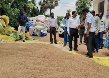 மயிலாடுதுறையில் கூட்டுறவு உணவு நுகர்வோர் பாதுகாப்பு துறைகொள்முதல் செய்யப்பட்ட நெல்லின்தரத்தை ஆய்வு