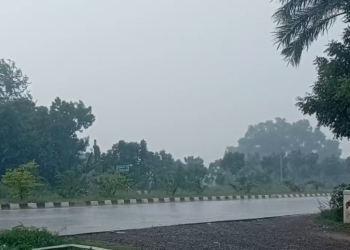 மயிலாடுதுறை மாவட்டத்தில் பல்வேறு பகுதிகளில் கனமழை வெப்பம் தணிந்து குளிர்ச்சியான சூழ்நிலை பொதுமக்கள் மகிழ்ச்சி