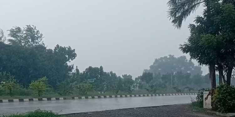 மயிலாடுதுறை மாவட்டத்தில் பல்வேறு பகுதிகளில் கனமழை வெப்பம் தணிந்து குளிர்ச்சியான சூழ்நிலை பொதுமக்கள் மகிழ்ச்சி