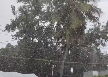 தரங்கம்பாடி மற்றும் சுற்றுவட்டார பகுதிகளில் பரவலாக மழை