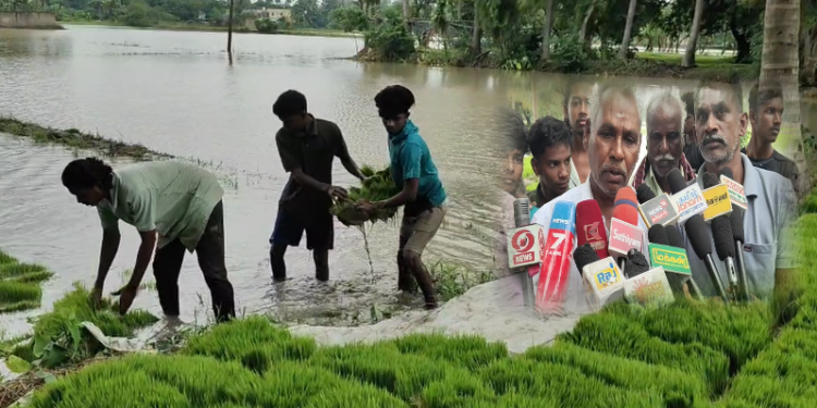 மயிலாடுதுறை முத்தப்பன் காவிரி வாய்க்காலை லஸ்கர் துணையுடன் மயிலாடுதுறை முன்னாள் MLAஎம்எல்ஏ ராதா கிருஷ்ணன் அடைத்து வைத்துள்ளதாக விவசாயிகள் குற்றச்சாட்டு