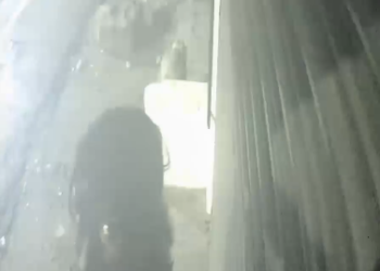 மயிலாடுதுறையில் நள்ளிரவு நேரத்தில் கடை ஒன்றில் CCTV கேமராவை திருடும் மர்ம நபர்