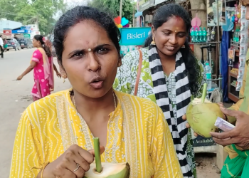 இளநீர் வியாபாரி இளநீர் அருந்த பிளாஸ்டிக் ஸ்டிராவிற்கு பதிலாக பப்பாளி தண்டை குழலாக கொடுத்துவருவது வரவேற்பை பெற்றுள்ளது