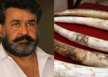 மோகன்லாலுக்கு யானை தந்தம் உரிமம் ரத்து : கேரள உயர் நீதிமன்ற தீர்ப்பு