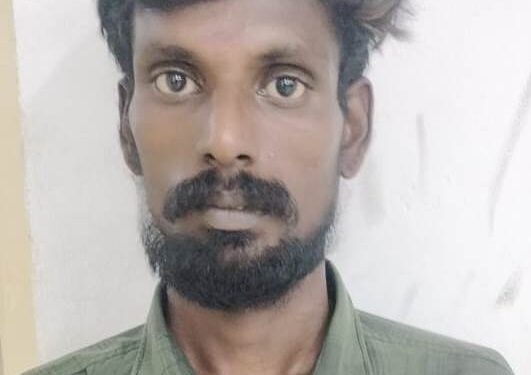 ஆட்டோவில் கஞ்சா கடத்தி வந்தவிமல் உட்பட 4 நபர்கள் கைது