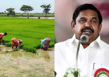 “விவசாயிகளுக்கு இந்த தீபாவளி கண்ணீர் தீபாவளி!” – தமிழக அரசை சுட்டிக் காட்டிய எடப்பாடி பழனிசாமி