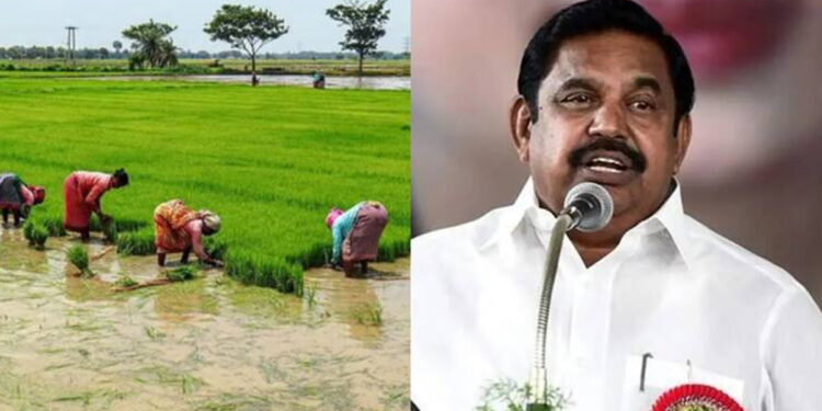 “விவசாயிகளுக்கு இந்த தீபாவளி கண்ணீர் தீபாவளி!” – தமிழக அரசை சுட்டிக் காட்டிய எடப்பாடி பழனிசாமி