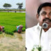 “விவசாயிகளுக்கு இந்த தீபாவளி கண்ணீர் தீபாவளி!” – தமிழக அரசை சுட்டிக் காட்டிய எடப்பாடி பழனிசாமி