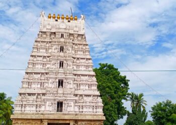 நாராயணவனம்