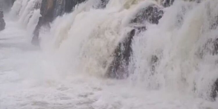 காவிரியில் வெள்ளப்பெருக்கு..ஒகேனக்கல்லில் பரிசலுக்கு தடை