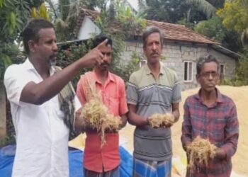 தமிழகம் வருகிறது மத்தியக் குழு – விவசாயிகள் ஆறுதல்