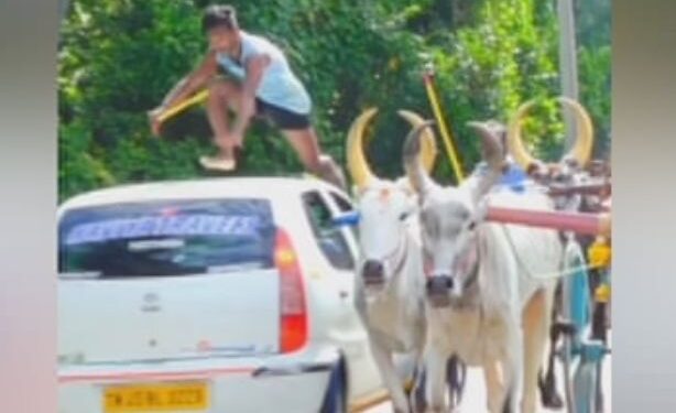 சினிமா காட்சியைப்போல் காரை தாண்டிய இளைஞர்!