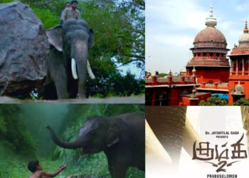 ‘கும்கி 2’ வெளியீட்டுக்கு சென்னை உயர்நீதிமன்றம் அனுமதி !