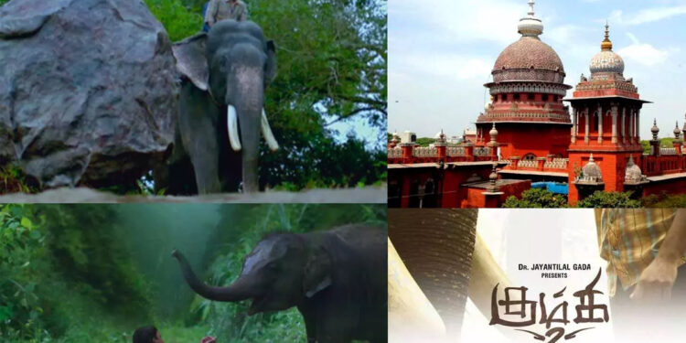 ‘கும்கி 2’ வெளியீட்டுக்கு சென்னை உயர்நீதிமன்றம் அனுமதி !