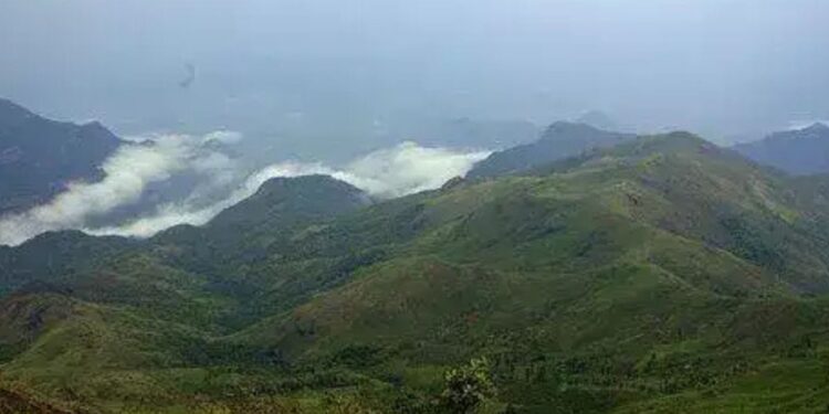 தாண்டிக்குடி மலைப்பகுதியில் தொடரும் டவர் தடங்கல்