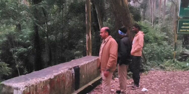 வனப்பகுதியில் தூக்கில் தொங்கிய சடலம் கொலையா? விசாரணை