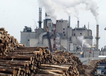 கனமழை காகித ஆலையில் 50 டன் பண்டல்கள் சேதம்!