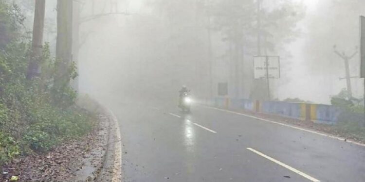 ஏற்காட்டில் கடும் பனிமூட்டம் ரம்மியமான காட்சி!