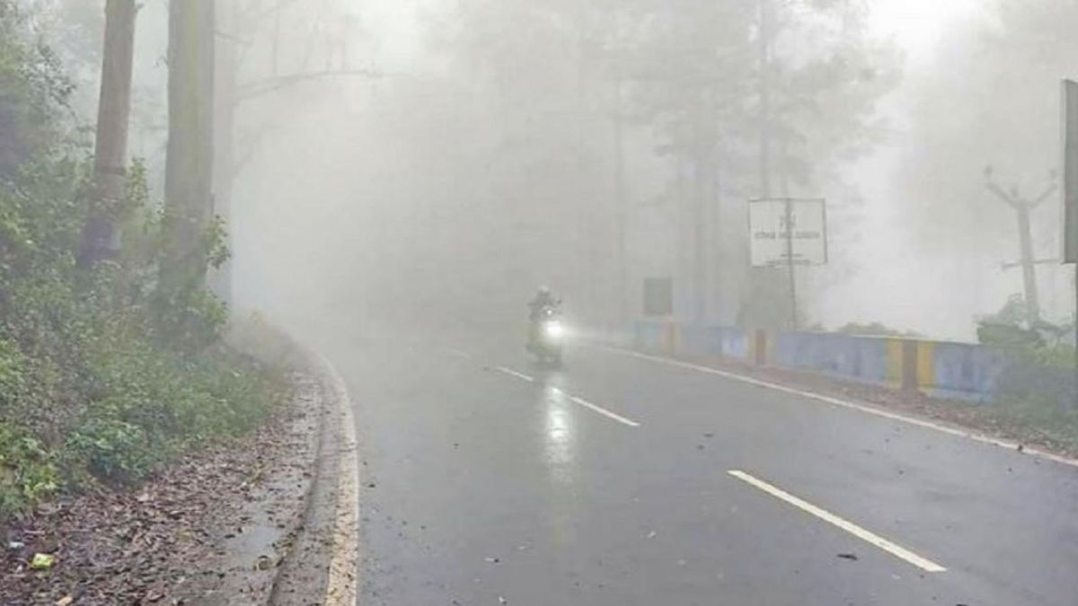 ஏற்காட்டில் கடும் பனிமூட்டம் ரம்மியமான காட்சி!