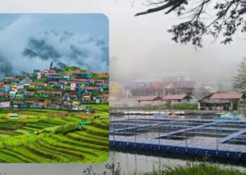 பனியின் தாக்கம்: மலைப் பயிர்கள் கருகி விவசாயிகள் கவலை!