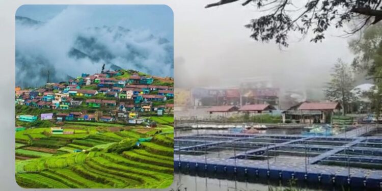 பனியின் தாக்கம்: மலைப் பயிர்கள் கருகி விவசாயிகள் கவலை!