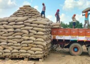 டெல்டா மாவட்டங்களில் நெல் கொள்முதல் வறட்சி, மழை ஏமாற்றத்தில் விவசாயிகள்