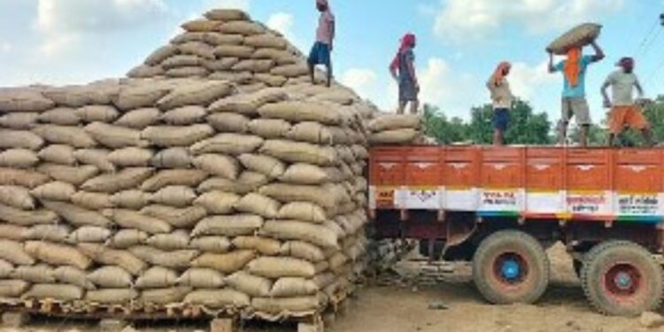 டெல்டா மாவட்டங்களில் நெல் கொள்முதல் வறட்சி, மழை ஏமாற்றத்தில் விவசாயிகள்