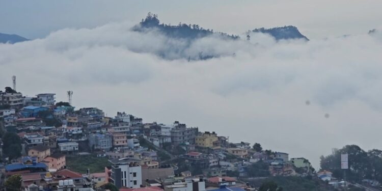 கொடைக்கானல்  குளிருக்கிடையே உற்சாகப் படகு சவாரி  
