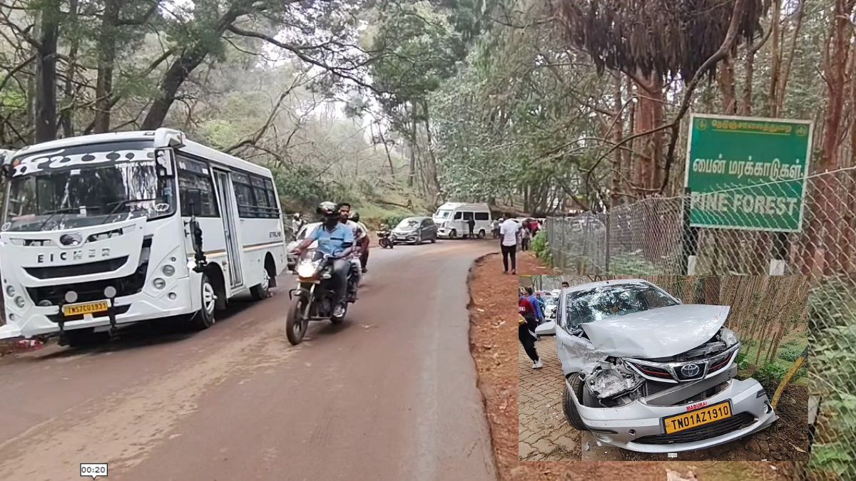 கொடைக்கானல் பைன் மரக் காட்டில் விபத்து