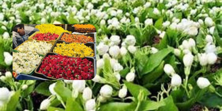 மல்லிகை பூ விலை கிடுகிடு உயர்வு: சபரிமலை சீசனால் அதிகரிப்பு