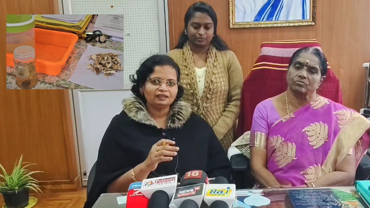 கொடைக்கானல் அரிய காளான்கள் புற்றுநோய் சிகிச்சைக்கு நம்பிக்கை