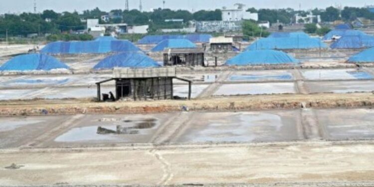 மழை மாயம் – தூத்துக்குடி உப்பு பனைகள் நீரில் மூழ்கி, உற்பத்தி 75% சரிவு!