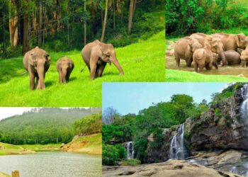 உடுமலை காந்தலூர் மலைவழிப் பாதை ‘ஆப்ரோடு’ நிலை