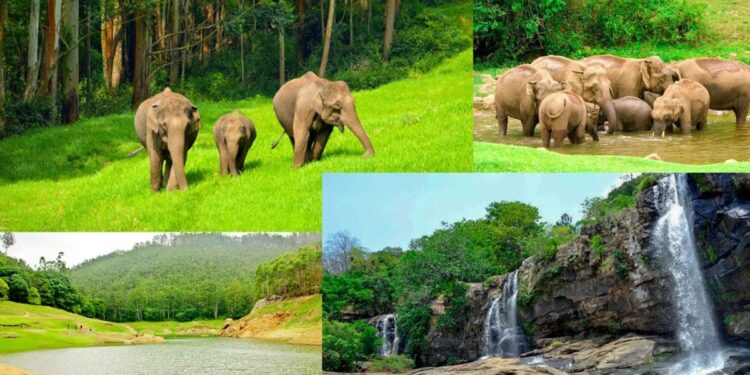 உடுமலை காந்தலூர் மலைவழிப் பாதை ‘ஆப்ரோடு’ நிலை