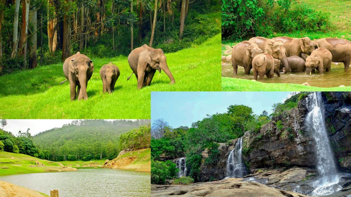 உடுமலை காந்தலூர் மலைவழிப் பாதை ‘ஆப்ரோடு’ நிலை