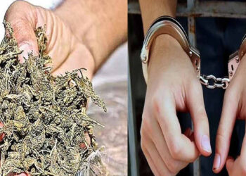 கஞ்சா விற்பனை விவகாரம் : சிம்பு பட தயாரிப்பாளர் கைது…!