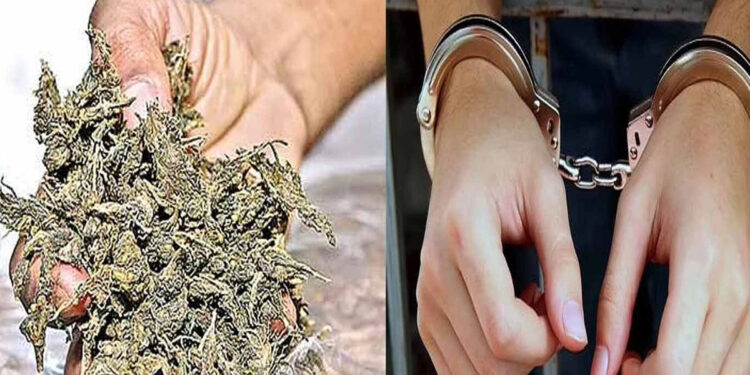 கஞ்சா விற்பனை விவகாரம் : சிம்பு பட தயாரிப்பாளர் கைது…!