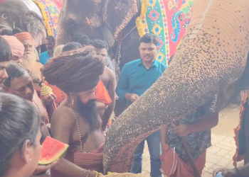 யானைகள் ஒட்டகங்கள் குதிரைகள் கழுதைகள் உள்ளிட்ட ஒன்பது வகையான 60 மிருகங்களுக்கு சிறப்பு பூஜை