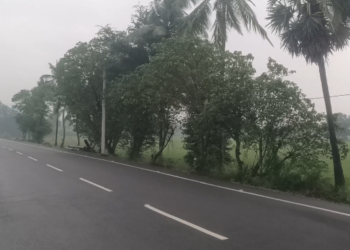 செங்கல்பட்டு  மாவட்டத்தில்  சாரல்  மழையுடன் பனிப்பொழிவு. வாகன ஓட்டிகள் அவதி